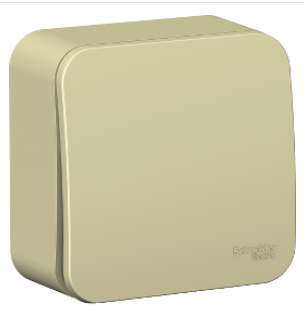 Schneider Electric  BLANCA  Бежевый Переключатель 1-клавишный (cхема.6) изолирующая пластина, 10А, 250B,  открытая установка BLNVA106017
