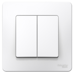 Schneider Electric  BLANCA  Белый  Переключатель 2-клавишный (cх.6+6) 10А, 250B, IP20  скрытая установка BLNVS106601
