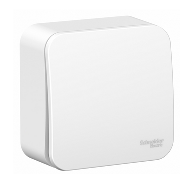 Schneider Electric  BLANCA  Белый  Выключатель 1-клавишный (cхема.1) с самовозвр, изолирующая пластина 10А, IP20  открытая установка BLNCA101011