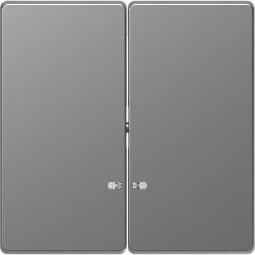 Schneider Electric  MERTEN  D-Life  Нержавеющая Сталь  Клавиша 2-местная с линзой для LED модуля MTN3420-6036
