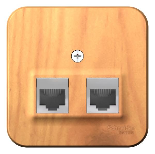 Schneider Electric  BLANCA  Ясень  Розетка 2-местная компьютерная RJ45, категория 5E, изолирующая пластина, IP20  открытая установка BLNIA045455
