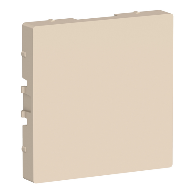 Schneider Electric AtlasDesign  Бежевый  Заглушка ATN000209