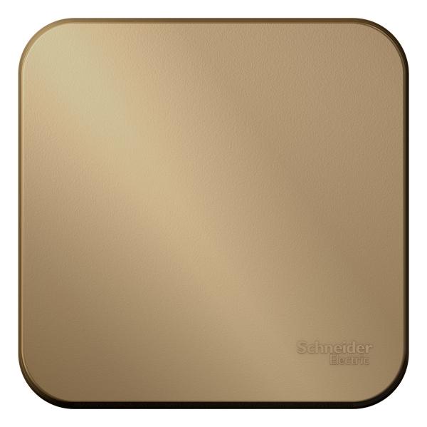 Schneider Electric  BLANCA  Титан  Выключатель 1-клавишный (cхема.1) с самовозв. изолирующая пластина 10А открытая установка BLNCA101014