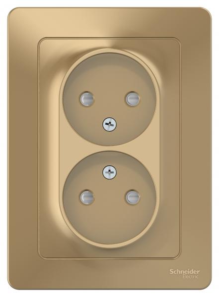 Schneider Electric  BLANCA  Титан  Розетка 2-местная без заземляющих контактов со шторками, 16А, 250В, скрытая установка BLNRS000124