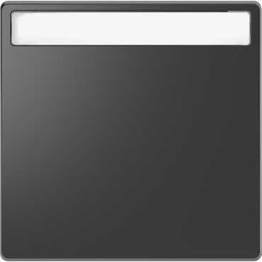 Schneider Electric  MERTEN  D-Life  Антрацит  Клавиша 1-местная с полем для надписи MTN3360-6034