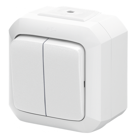 Переключатель двухклавишный ABB Variant+ IP54 белый