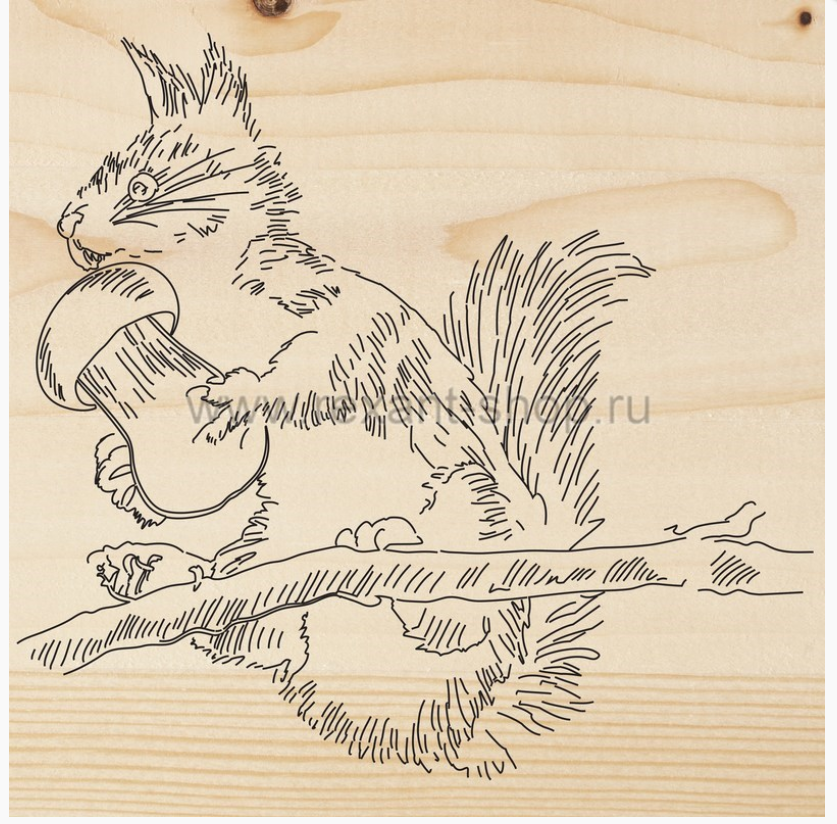 Доска для выжигания REXANT, «Белка», 150х150 мм, 1 шт., пакет 12-0927