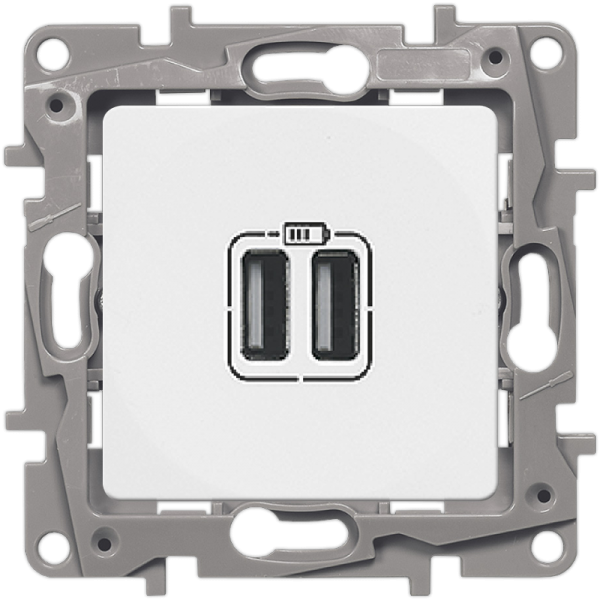 Legrand  Etika  Белый Зарядное устройство с 2 USB-разьемами 240В/5В, 2400мА 672294