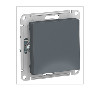 Schneider Electric AtlasDesign Грифель  Выключатель 1-клавишный схема 1, 10АХ, механизм ATN000711