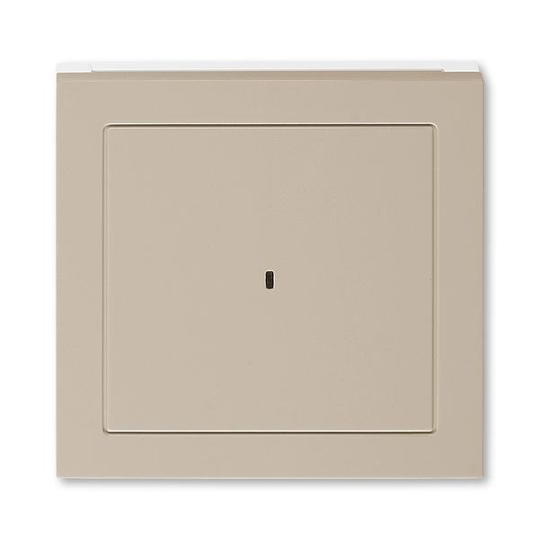 ABB  Levit  Кофе макиато/Белый Накладка для выключателя карточного, 2CHH590700A4018
