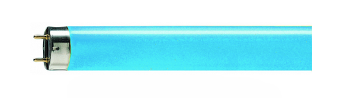 Люминисцентная лампа  PHILIPS  T8  36Вт  103В  G13  Blue