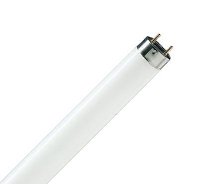 Люминесцентная лампа  Philips  T8  18Вт  4100К  G13