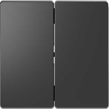 Schneider Electric  MERTEN  D-Life  Антрацит  Клавиша 2-местная MTN3400-6034