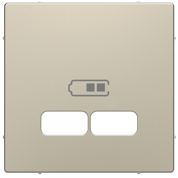 Schneider Electric  MERTEN  D-Life  Сахара  Центральная Накладка для USB механизма 2,1А MTN4367-6033