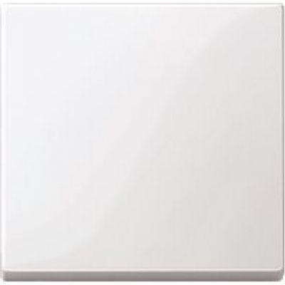 Schneider Electric Merten  Белый  Клавиша 1-местная MTN412119