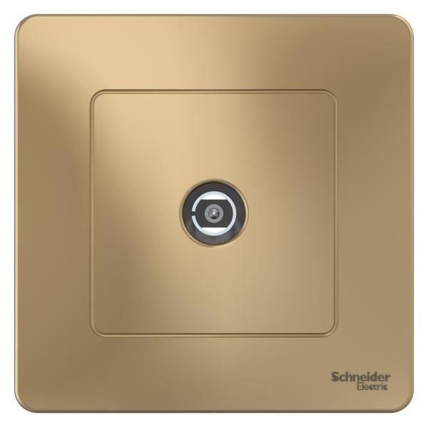 Schneider Electric  BLANCA  Титан  Коннектор ТВ, скрытая установка BLNTS000014