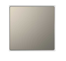 Schneider Electric  MERTEN  D-Life  Никель  Клавиша 1-местная MTN3300-6050