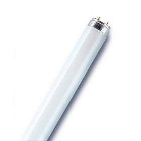 Люминесцентная лампа OSRAM L 30Вт 640 дневного света (Германия)