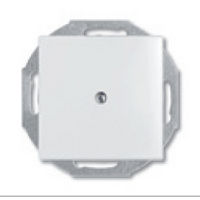 ABB  Basic55  Альпийский Белый Плата Центральная с суппортом 1710-0-3772/2CKA001710A3772/