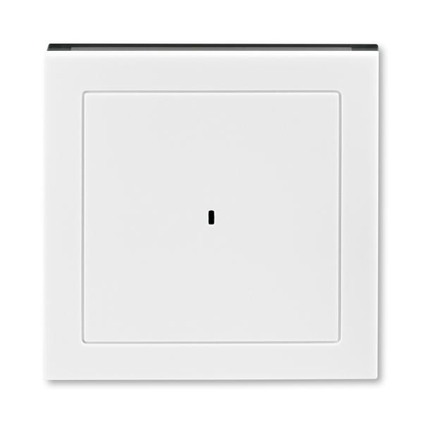 ABB  Levit   Белый/Дымчатый чёрный Накладка для выключателя карточного, 2CHH590700A4062
