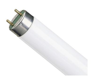 Люминесцентная лампа  Philips  T8  58Вт  4100К   G13