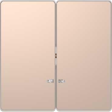 Schneider Electric  MERTEN  D-Life  Шампань  Клавиша 2-местная с линзой для LED модуля MTN3420-6051