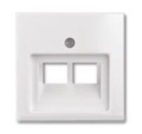ABB  Basic55  Альпийский Белый Плата Центральная для коммуникационных розеток UAE 2-местная 1753-0-0095/2CKA001753A0095/