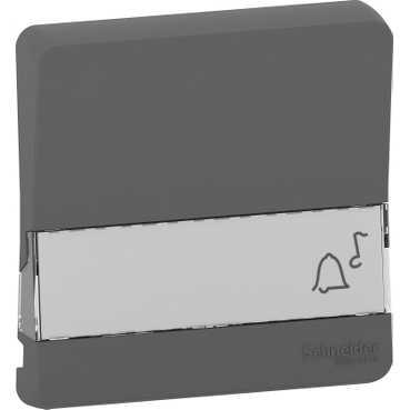 Schneider Electric Mureva Styl  Антрацит Клавиша с полем для этикеток IP55 MUR34203