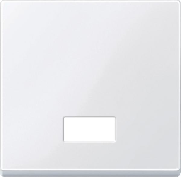 Schneider Electric Merten  Клавиша с прямоугольн. окошком д/символа MTN432825