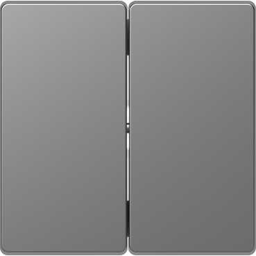 Schneider Electric  MERTEN  D-Life  Нержавеющая Сталь  Клавиша 2-местная MTN3400-6036