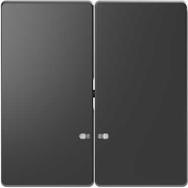 Schneider Electric  MERTEN  D-Life  Антрацит  Клавиша 2-местная с линзой для LED модуля MTN3420-6034