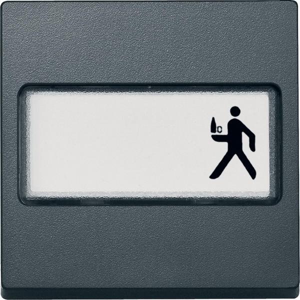 Schneider Electric Merten  SYSTEM M  Клавиша 1-местная с полем для надписи MTN433314