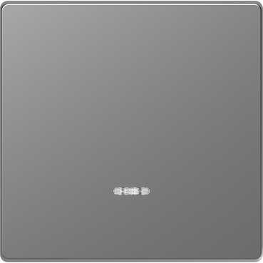 Schneider Electric  MERTEN  D-Life  Нержавеющая Сталь  Клавиша 1-местная с линзой для LED модуля MTN3320-6036
