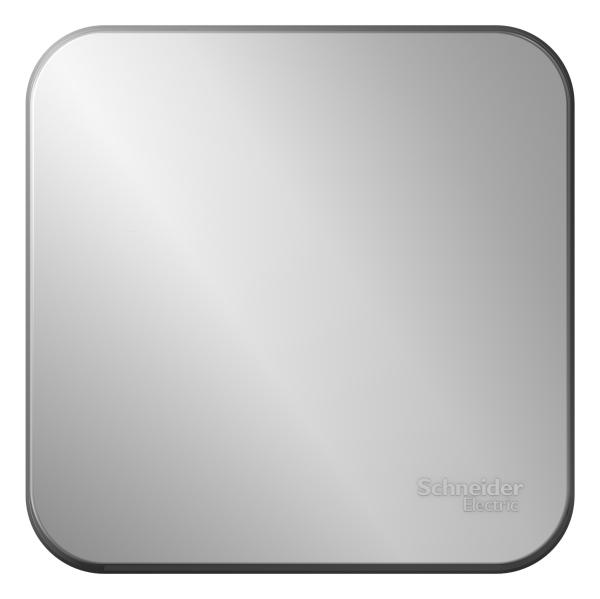 Schneider Electric  BLANCA  Алюмин.  Выключатель 1-клавишный (cхема.1) с самовозв., изолирующая пластина 10А, открытая установка BLNCA101013