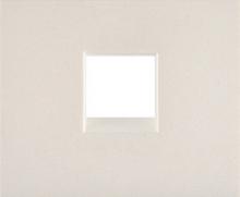 Legrand  Galea Life  Жемчужно-Белый Лицевая Панель розетки 1хRJ12 Pro 21 771595