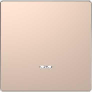 Schneider Electric  MERTEN  D-Life  Шампань  Клавиша 1-местная с линзой для LED модуля MTN3320-6051