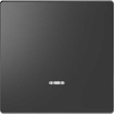Schneider Electric  MERTEN  D-Life  Антрацит  Клавиша 1-местная с линзой для LED модуля MTN3320-6034