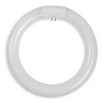 Люминисцентная лампа  PHILIPS  C-T9  22Вт  6200K  G10q